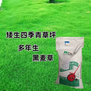 ��ƺ�����ļ�����ͥԺ�G���o�·N���ͺ����޼��������������ӷN��