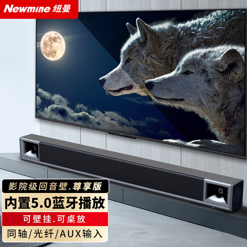 ニューマン (Newmine)G65エコー壁音響家庭KTV音響セット家庭映画館テレビ|undefined