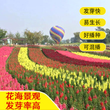 ~ݷNɢbNӪ{ӻļ̨׷N^GN