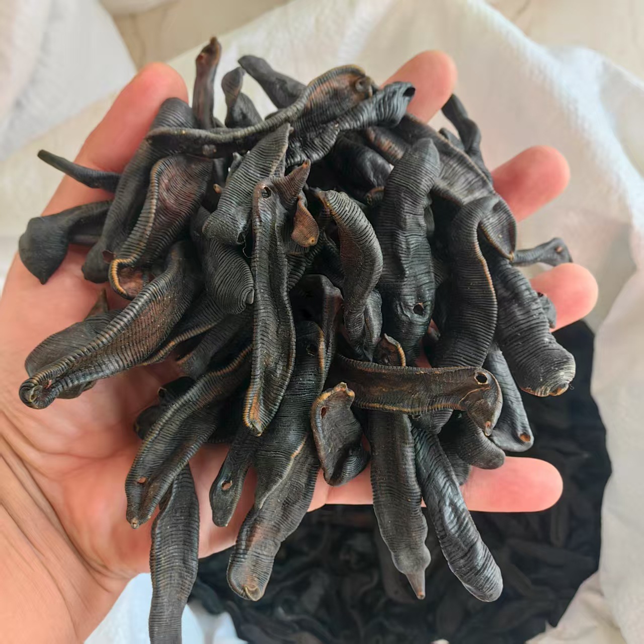 Dried Leech Shui Zhi 水蛭 Whole Dried Medicinal Herb 500g Traditional TCM Ingredient specifications