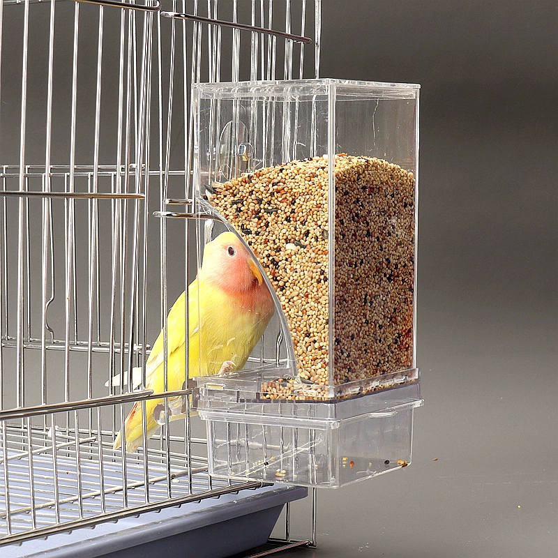 Тигровый попугай автоматический кормушка для защиты от брызг птиц кормушка кормушка для птиц пион кормушка для птиц