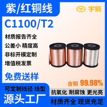 ~ C1100t~z{ֱa~z T2t~