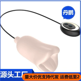 其他情趣用品;震动棒;飞机杯