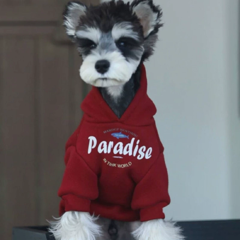 Домашняя собака одежда собаки шнауцер Тедди Бомей осенью и зимой милый теплый бархат толстый свитер с капюшоном