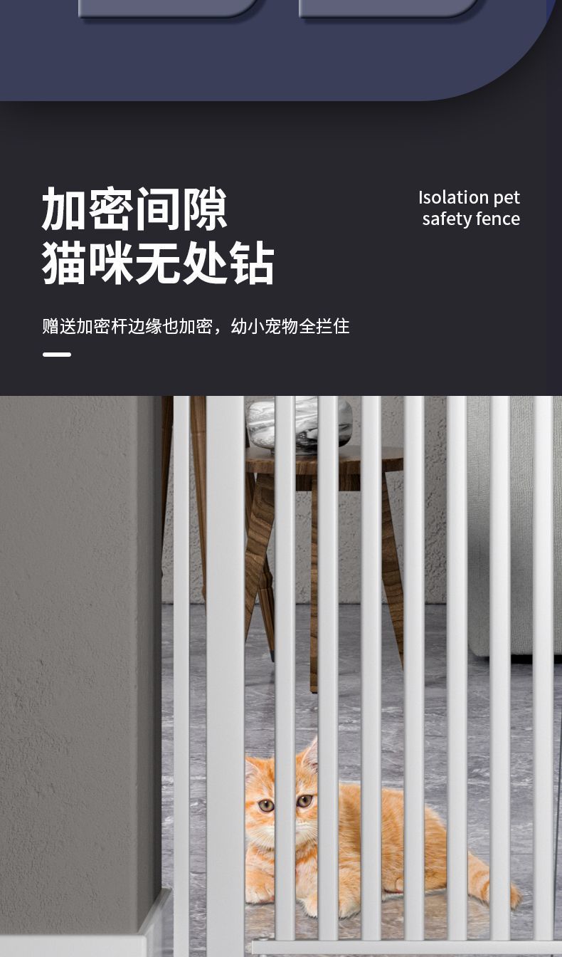 12385b77-f401-456b-93e3-620cf47c25e4.jpe