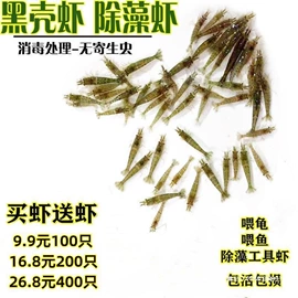 积木类;机器人模型;车模型