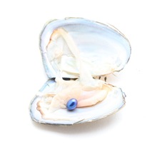 ��հ��b33ɫ��ɫ6-7-8MM���NȾɫ��ˮ��������Ӱ�����