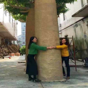 ��������� ���^��������� �@���þ��_�ۘ� �R���� ����ٴ��