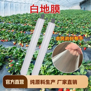 Agricultural white plastic film heat preservation moisturizing vegetable greenhouse planting anti-grass film pull-resistant plastic small arch shed film