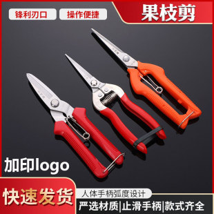 Customized Fruit Branch Shears, Pruning Shears Accessories, Pruning Shears, Branch-Assisted Scissors, Garden Fruit Picking Shears with Logo
