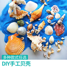 贝壳配件diy手工制作材料创意儿童玩具幼园早教大人打发时间礼物