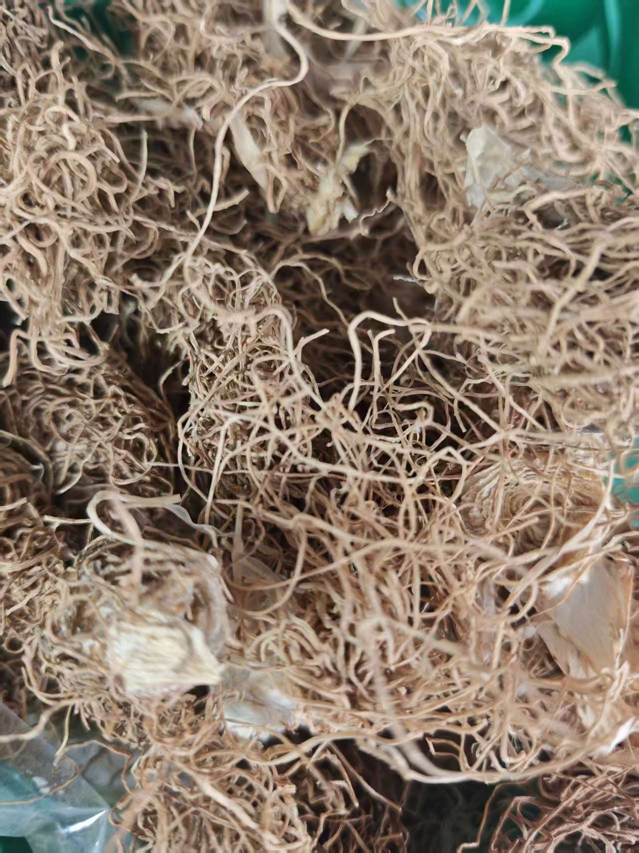 Scallion Root & Scallion White (Allium fistulosum) — Dried Culinary Herb for Cooking & Soup specifications