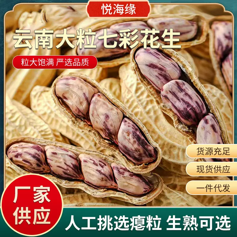 25年新货云南七彩花生 新鲜带壳晒干饱满大粒五彩牛奶生花生商用