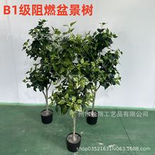 B1����ȼ�����辰�����٘�������ԼپG�}����ؑ��⿹���⾀����