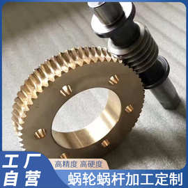 工厂加工蜗轮蜗杆黄铜齿轮传动配件不锈钢多头蜗杆1.5模2模金属