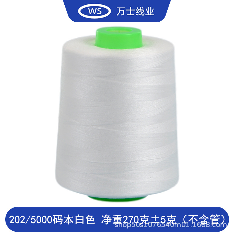 202/5000 코드북 화이트 볼륨