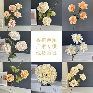 �¿��㙉ɫϵ���滨�Ҿӿ͏d��ה[�Ż��Ļ�c��Y�������bٻ�