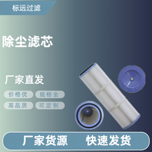 真空上料机除尘滤芯净化空气除尘通风进料过滤器空气滤筒除尘滤筒