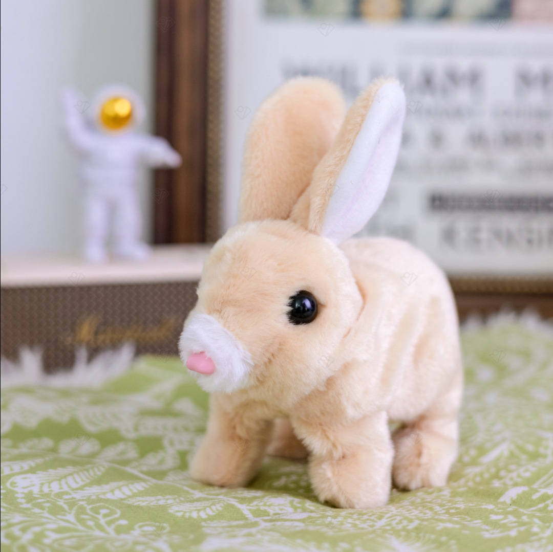Brown rabbit
