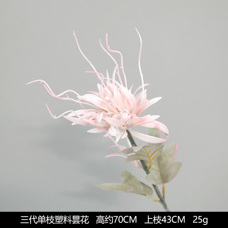 분기 플라스틱 epiphyllum