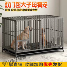 ���\�Ӵ���Ȯ���͎��������x�҃Ƚ�ë߅����������̩���ش�̖���\