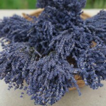新疆伊犁薰衣草干花束天然永生干花真花客厅家居花瓶摆设源头批发