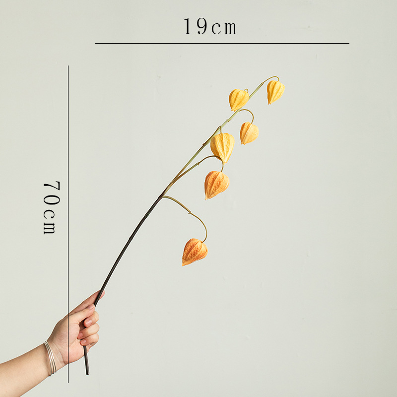 긴 랜턴 과일 1개(샴페인색)