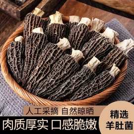 羊肚菌干货头茬新货羊肚菌菇汤包蘑菇煲汤批发农产品山菌菇类煲汤