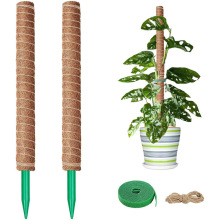 Ҭ�ذ��ɲ�ж�GɫPVC�ײ�ˮ̦���G�j����Ҭ�ذ�ֲ�����و@ˇ����