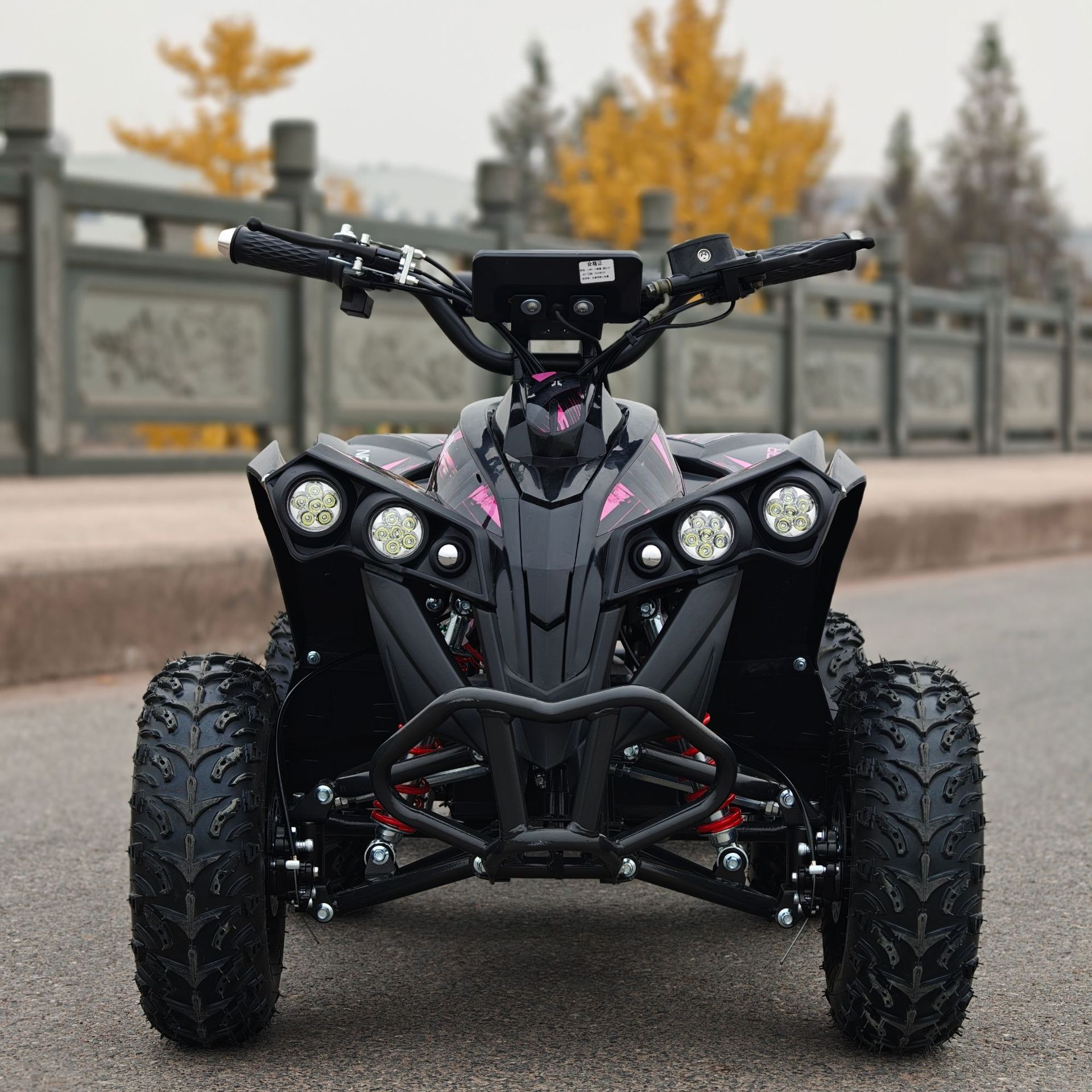 Motuoche Small Overlord ATV Beach Motorcycle All-Terrain Vehicle Electric Scooter (Auto Parts and Accessories) - motor-36v-1060w-battery-36v-12ah