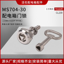 MS704-30������T�i�����i�_�P���T����i ���P�耳יC���D���i