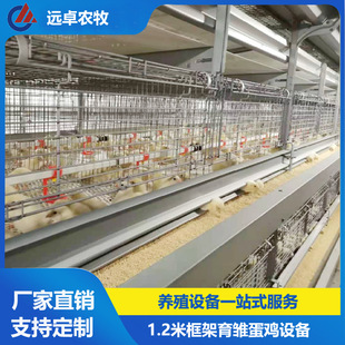 行车喂料养鸡场育雏专用笼组系统新型四层H型框架式蛋鸡育雏鸡笼-阿里巴巴