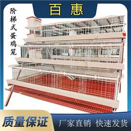 养殖场用三层四门白槽蛋鸡笼设备热镀锌多层阶梯式笼养鸡设备
