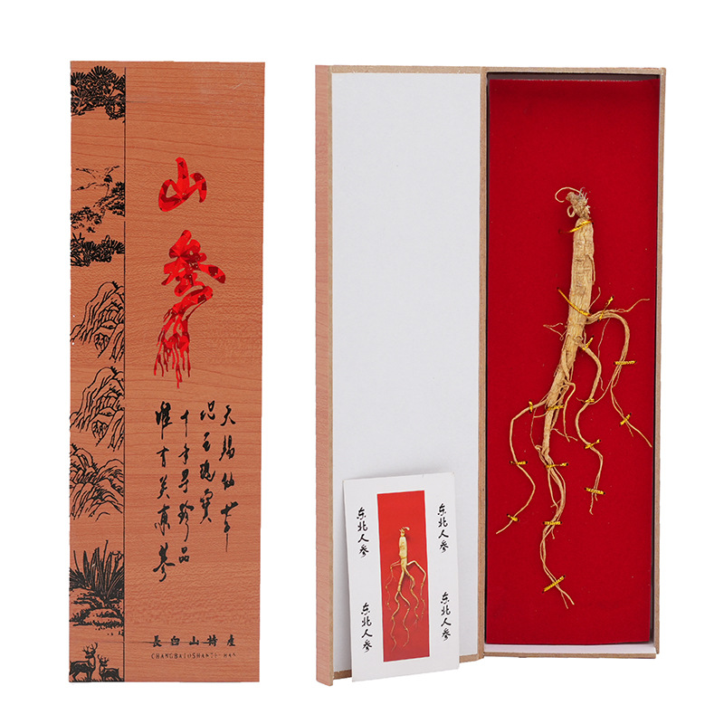 人参 单支装礼盒东北特产长白山人参  参会礼品8元以内人参批发