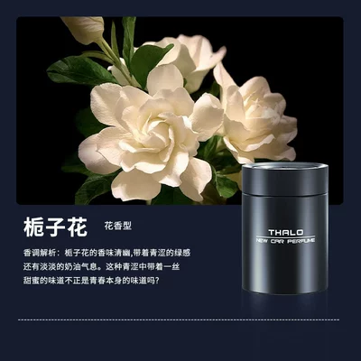 Odor Removal Car Fragrance Solid – Car Perfume Aromatherapy - gardenia