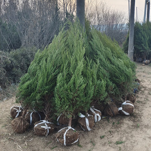 ���l���������h�����ؘ��� �ɰ� ��u ���� �Ȱ� �̰ؾG���ؘ���