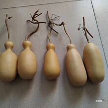 ��ȻС���J�^��ƿ�Ӻ��J���ή��λ������������ְѼ��Lˮ�[�����J