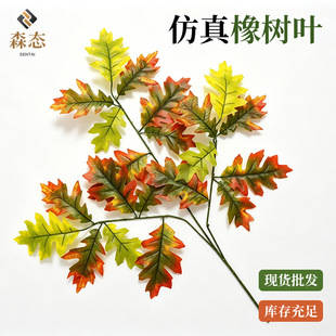 �����＾����~��ɫ���x���~֦��c�����͏d�b������~�Ӽ٘��~