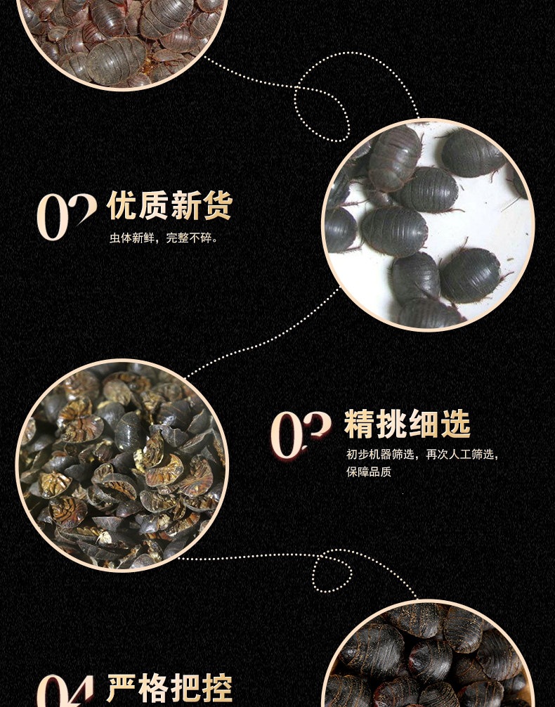 Dried Ground Beetle Tu Yuan 土鳖虫 Whole Insect TCM Herb 500g Selected Large Size key features