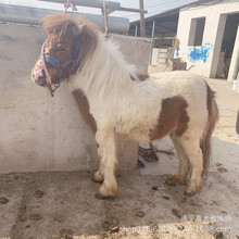 ���a��С���R�����O���m���䰫�_�R�����R�r�� ���w�����R