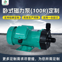 定制型号100R卧式磁力泵耐酸碱腐蚀磁力泵一体成型化学药液过滤机