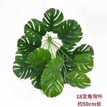 �Gֲ�t��õ�廨�ٻ��͏d�bGɫֲ����ؼٻ����Ԕ[�O�G�}С