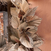 �����b�Ư�׸��ѿ��~��c��ˇ���JȔ���������~���ؙ���Y�ɻ���