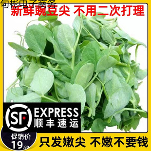 ��S���]�Fժ�Ĵ����r�㶹���㶹��r���߲ˑ����߲��󜫻��ʳ��