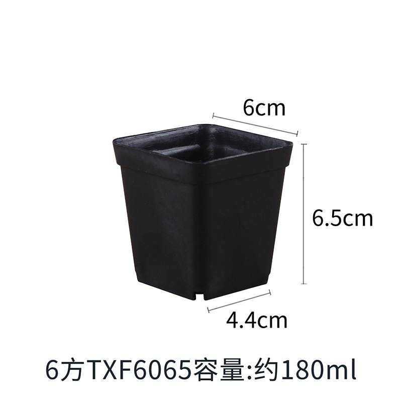 [Black 6cm] Extra small square TXF6065