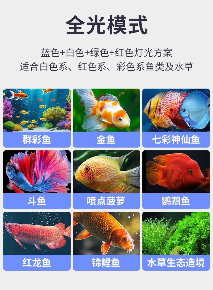 9a7606df-e596-45c6-9c2d-271227b96b94.jpe