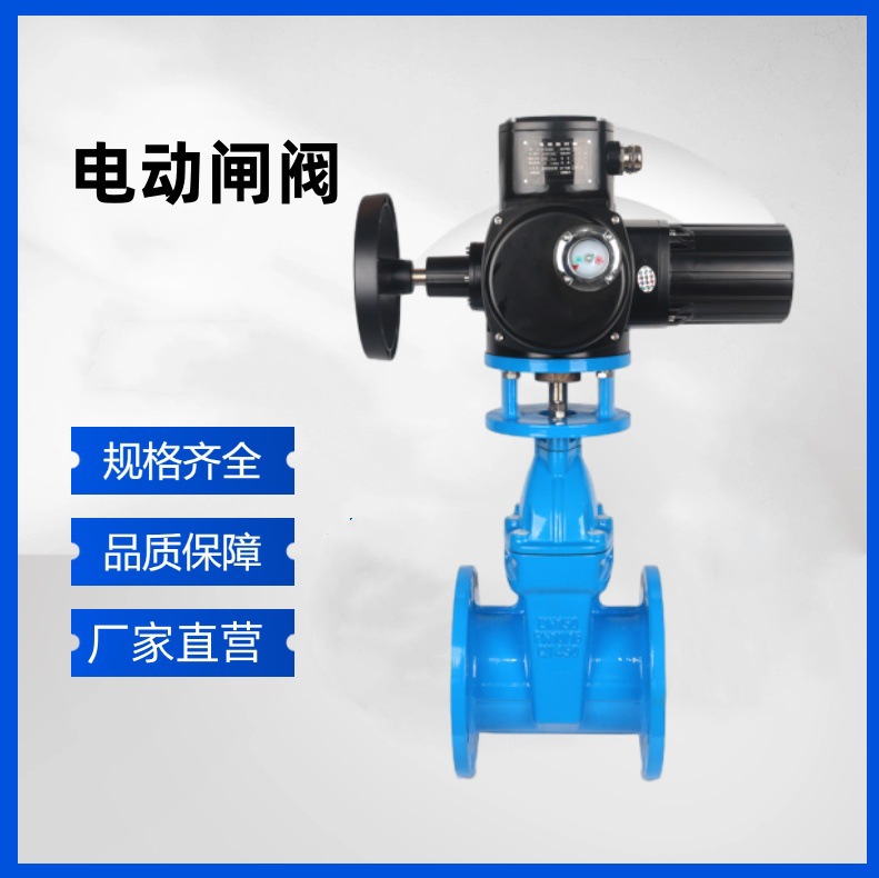 南安阀门 Z943H-25 铸钢电动闸阀 高压法兰式 石油化工管道配件