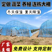 �������Q���Ҵ����߲��Bֳ�ﺆ�����ϴ���䓹ܹǼ�ȫ�׷Nֲ������