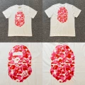 XX363 White Pink