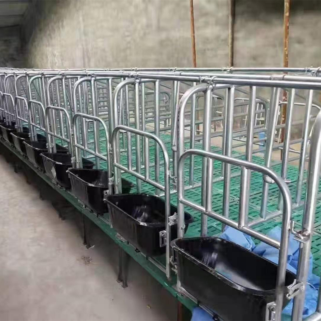 世昌活动复合定位栏猪床加高猪栏 带板定位栏